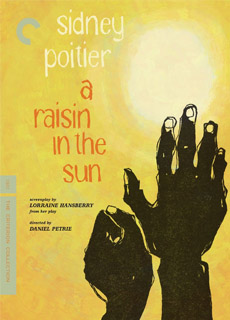 阳光下的葡萄干