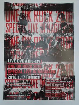 ONE OK ROCK 2016 SPECIAL LIVE IN NAGISAEN